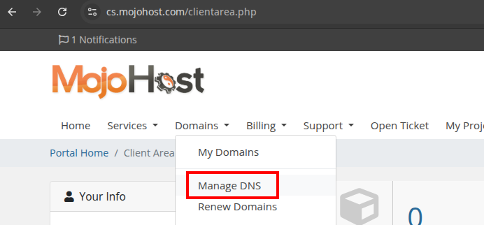 Manage-DNS